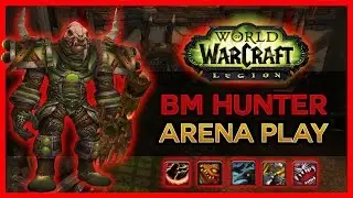 1 SHOT SPEC IN ARENA - BM Hunter PvP WoW Legion