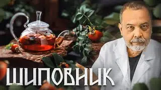 ШИПОВНИК Насколько полезен чай из шиповника. Отвар шиповника.