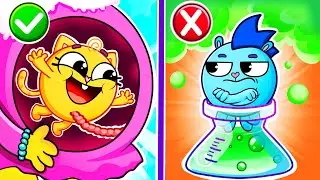 How Was Baby Born Song 👶 Funny Kids Songs 😻🐨🐰🦁 And Nursery Rhymes by Baby Zoo