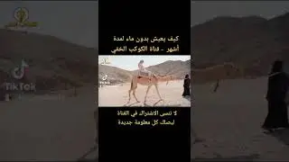 كيف يعيش هذا الحيوان بدون ماء لمدة أشهر