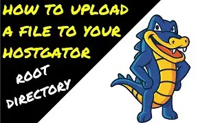 How to Upload a File to Your Root Directory with HostGator VIdeo