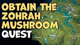 Obtain The Zohrah Mushroom in The Cave Genshin Impact