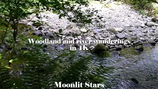 Woodland and river wanderings in 4K