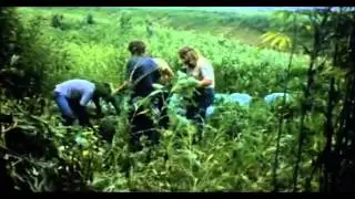 From the 1973 movie Acapulco Gold   Head Hands and Feet   Country Boy