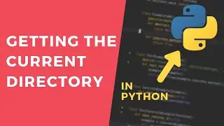 Get the Current Working Directory - 1 Minute Python Tutorial 