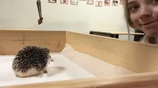 Чуть не откусил палец 🥴