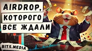 Долгожданный Airdrop от Hamster Kombat / Кто будет регулировать майнинг в России? / Новости