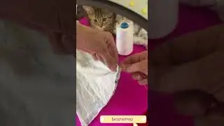 Не понять вам дети своих мам . 😂😂😂😂😂😂😂