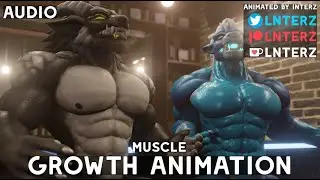 Bar Growth Animation (Short Version)