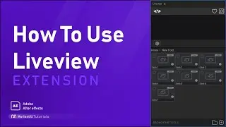 How to Use Liveview Extension
