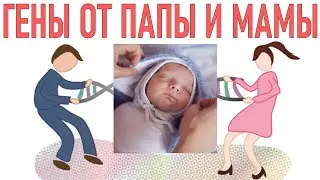 МАМИНЫ И ПАПИНЫ ГЕНЫ В РЕБЕНКЕ | Мы узнали какие гены передаются детям от папы, а какие от мамы