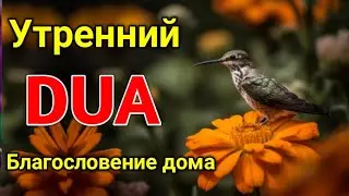 утренний дуа. дуа каждое утро