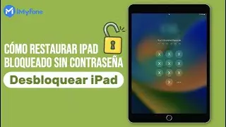 Cómo restaurar iPad bloqueado sin contraseña✨[4 Formas]