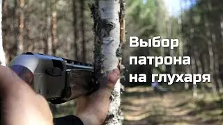 Охота на глухаря. Выбор патрона.