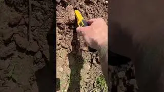 НАТЕЛЬНЫЙ КРЕСТИК 18-19век #metaldetecting #коп #metaldetector #раскопки