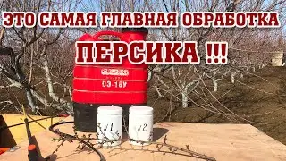 Основная и самая главная обработка персика!!!