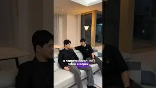 ❌В КОРЕЕ ЗАПРЕЩАЮТ СОБАК / МНЕНИЕ КОРЕЙСКОГО ДРУГА ПО ЭТОМУ ЗАПРЕТУ 