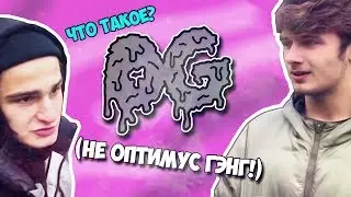 ЧТО ТАКОЕ OG?