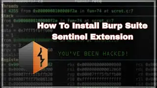 How To Install  Sentinel Extension In Burp Suite | ETHICAL HACKING l BRUP SUITE | Install Extension