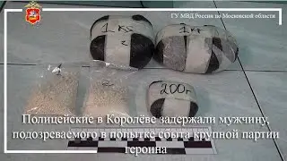 Полицейские в Королёве задержали мужчину, подозреваемого в попытке сбыта крупной партии героина