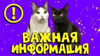 ВАЖНАЯ ИНФОРМАЦИЯ ДЛЯ КАЖДОГО! Надо поговорить! SANI vlog