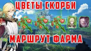 ЦВЕТЫ СКОРБИ. ПРОКАЧКА КАВЕХА [Genshin Impact 3.6]