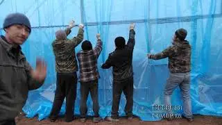 Как накрыть теплицу (балаган) пленкой