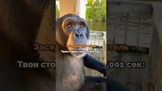 У кого также?😅 