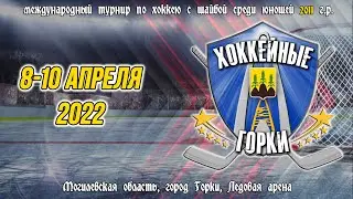 8.04.2022. ХГ. 2011. Pro Hockey – Жодино