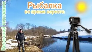 Рыбалка в нерест. На поплавок.