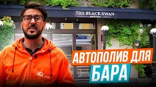 Капельный полив для заведения Black Swan! | Особенности в процессе реализации...