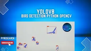 How to Count Birds with YOLOv8 Object Detection: A Step-by-Step Guide