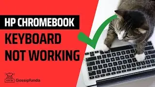 HP Chromebook keyboard not working