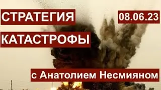 Стратегия катастрофы. С Анатолием Несмияном разбираем происходящее. 08.06.23