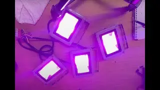 DIY Grow lights for $1.50 a piece.