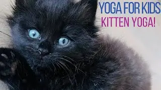 Kids Yoga | Kitten Yoga 🐈‍⬛🐱