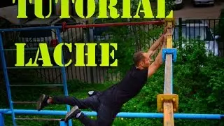 Туториал по элементу 