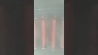домашня ковбаса