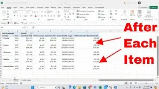 How to Insert or Remove a Blank Line After Each Line Item in a Pivot Table in Microsoft Excel! 