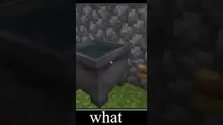 Minecraft wait what memeS часть 1210