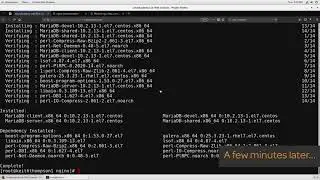 4 Setting Up The LEMP Stack