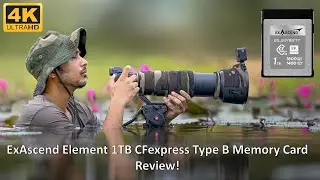 ExAscend  CFexpress Type B Card Review | Memory card for Wildlife Photography  | Card Reader.