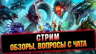 Дейлики основа + твин. Обзоры. Вечерний стрим по Raid: Shadow legends