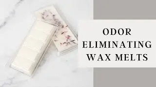 Odor Eliminating Wax Melt Recipe | Snap Bar Clamshell