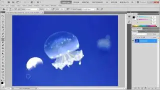 Photoshop - Resize a Selection - Enlarge or Shrink Object
