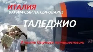 Сыр Таледжио, и сыр прадедушка Горгонзолы!