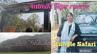 Jungle Safari🚗 ||Trip to Valmiki Tiger reserve||National park in Bihar#vlog#safari#forest#bihar
