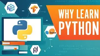 Why Learn Python in 2022?