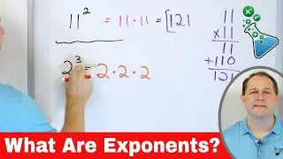 What Are Exponents?