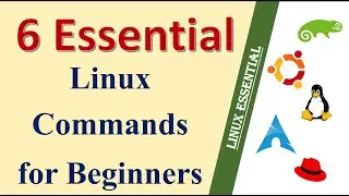 Unlock the Secrets of Linux: 6 Essential Commands Every Beginner Must Know